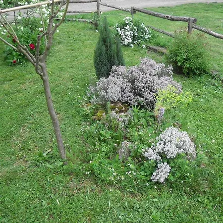 à La Ferme En Bas Quercy Appartement *