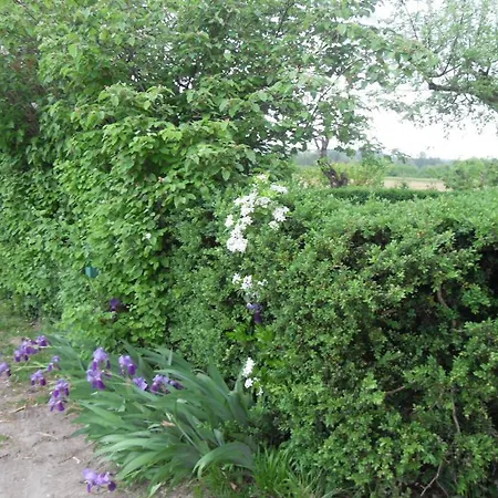A La Ferme En Bas Quercy